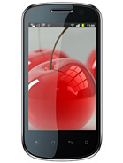 Best available price of Celkon A19 in Saudia