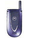 Best available price of Motorola V66i in Saudia